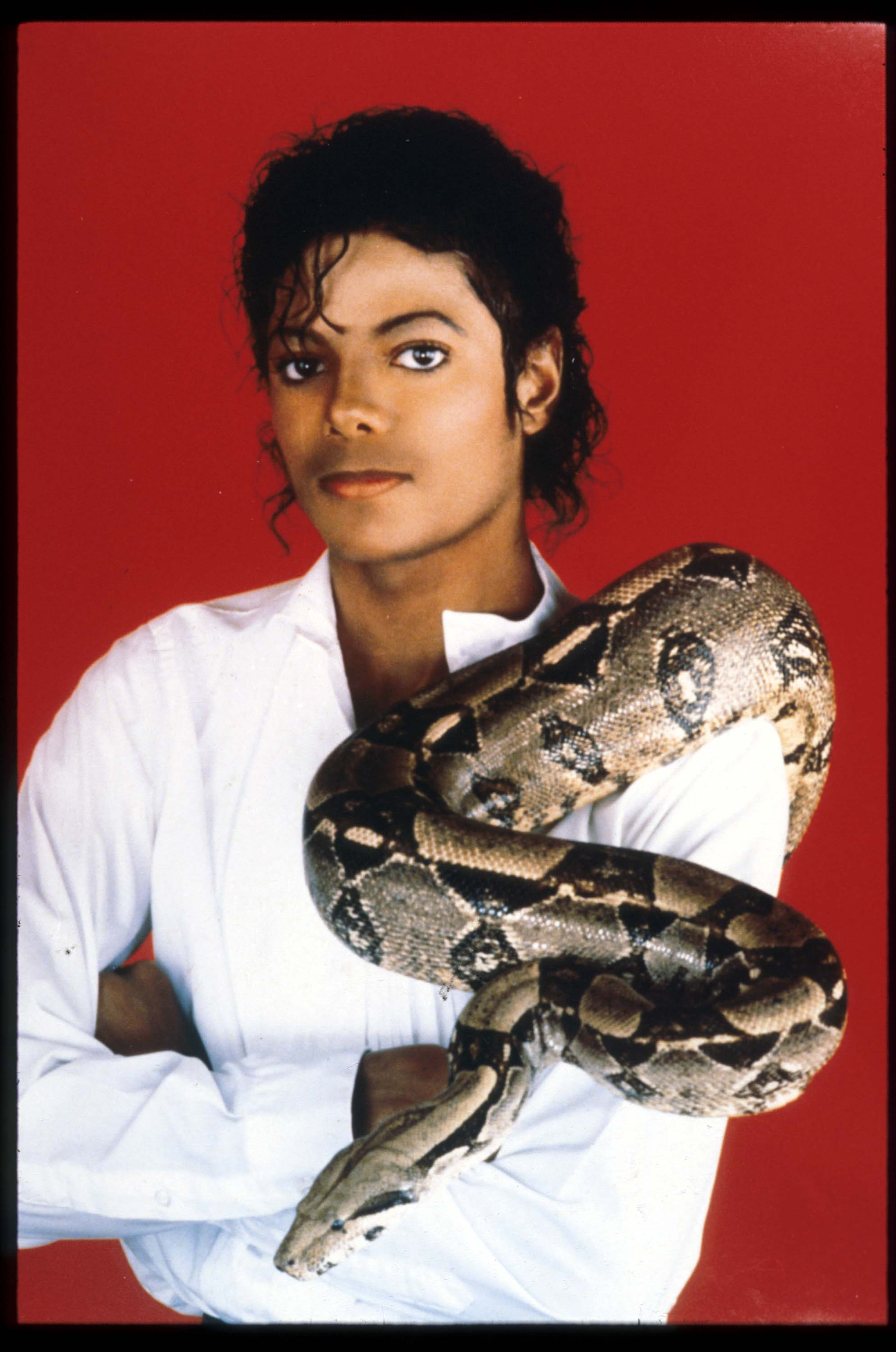 Entertainer Michael Jackson poses with his pet boa constrictor Sept. 15, 1987, in the USA. Jackson, who was the lead singer for the Jackson Five by age eight, reached the peak of his solo career with 1982's "Thriller," the best-selling album of all time and recipient of eight Grammy awards. (Courtesy of Getty Images)