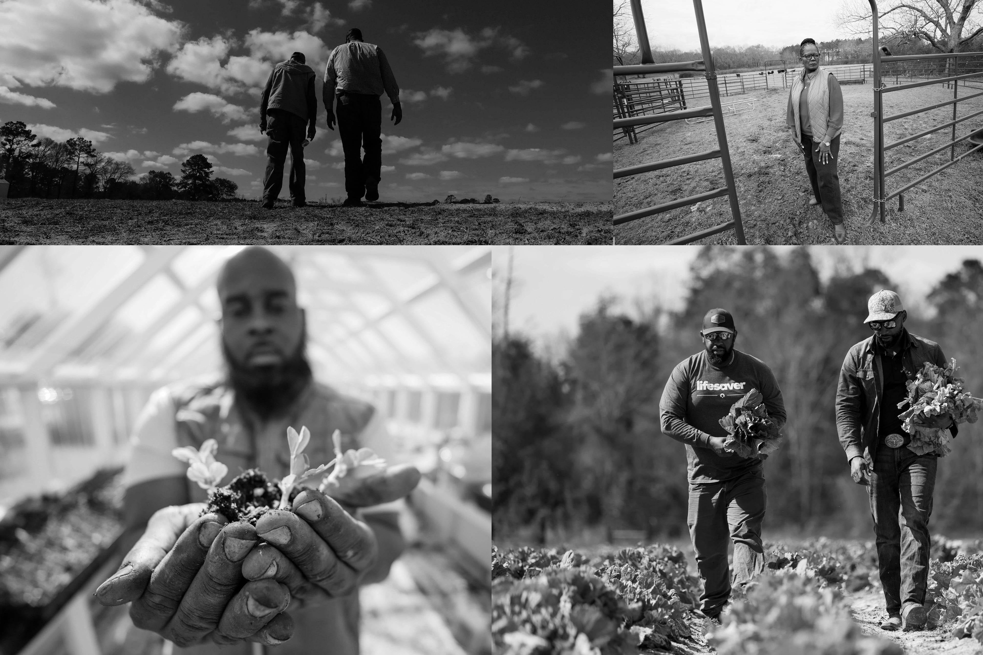 From Sparta to Smithville and from Collins to Albany, some Black farmers in Georgia proudly represent the land passed down from their ancestors with respect and dignity. They are keeping the legacy alive for future generations and take great pride in providing for their families and communities. (Miguel Martinez/AJC)