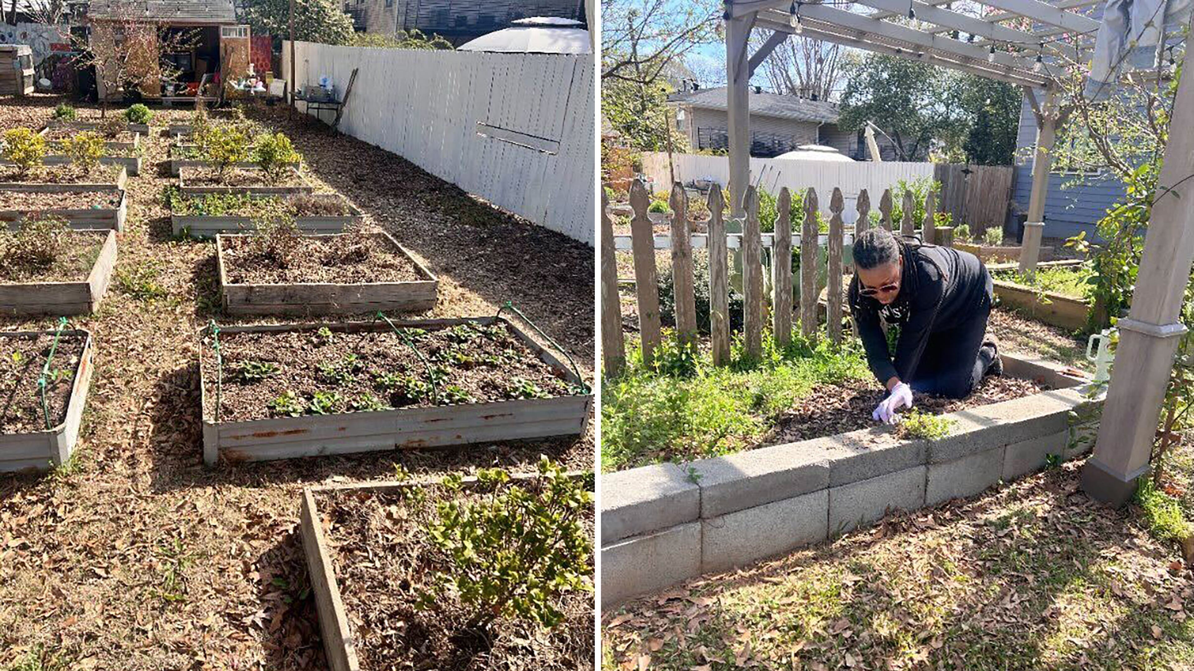A Sip of Paradise Garden accepts applications for new members. Individual gardeners share plots and local businesses can lease plots and engage with the community by donating food grown in the garden. (Courtesy of Keyatta Mincey Parker)