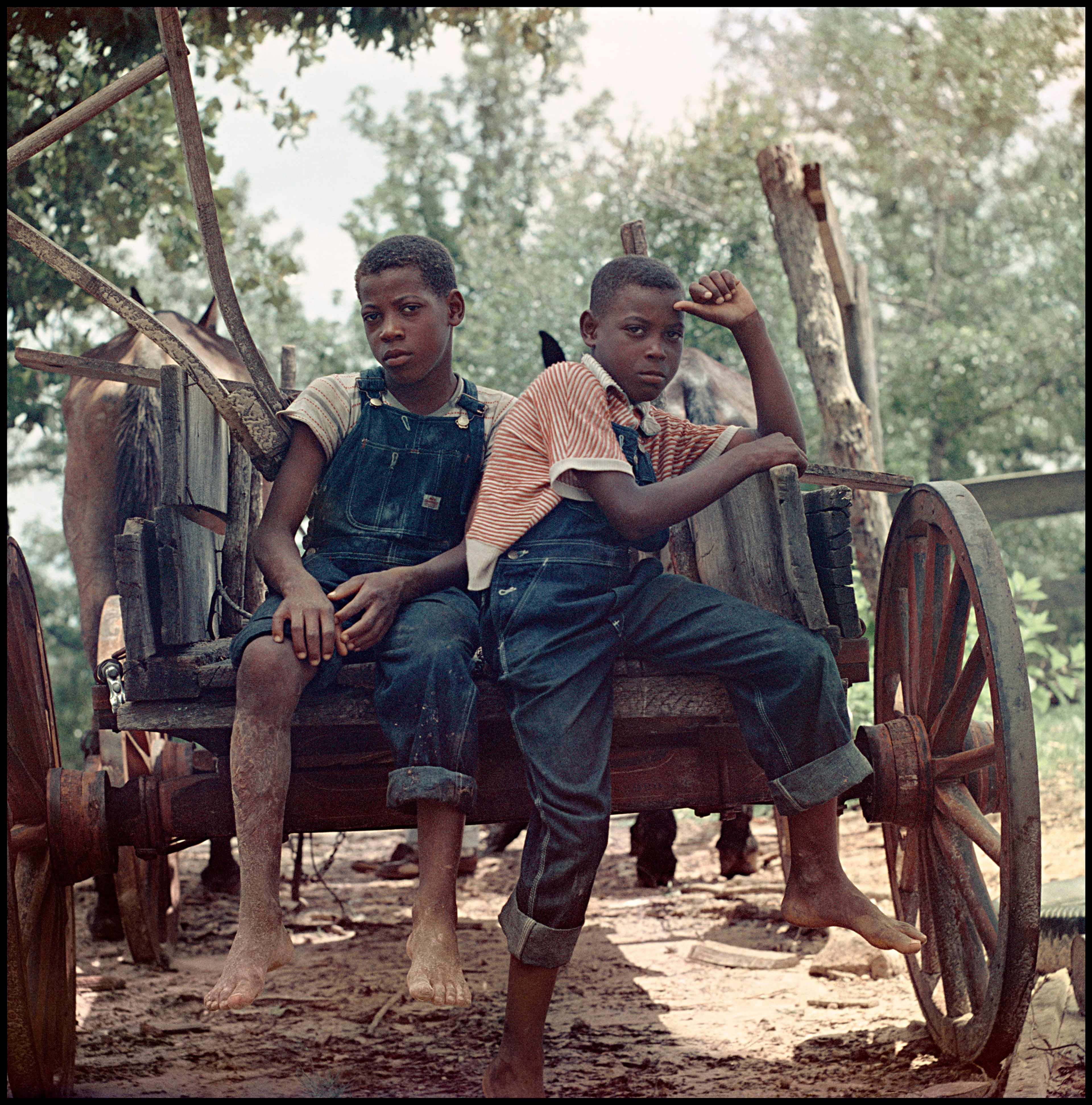 Untitled (Shady Grove, Alabama, 1956). (Courtesy of Jackson Fine Art byway of The Gordon Parks Foundation)