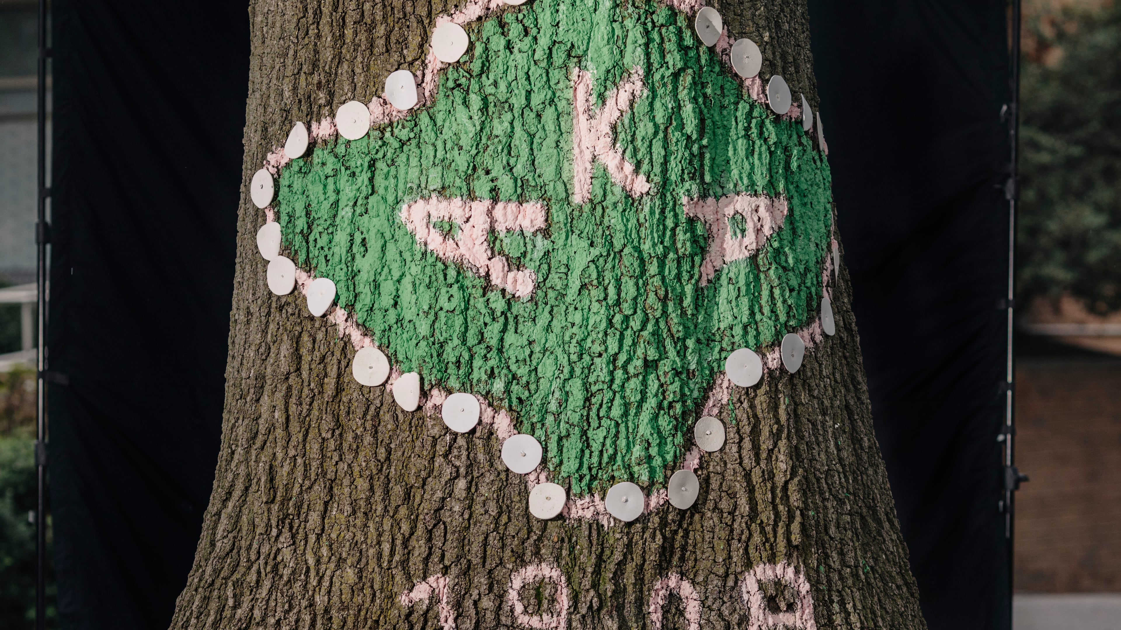 Two children of notable Atlantans joined Alpha Kappa Alpha at Howard University. (Jason Andrew/The New York Times 2024)